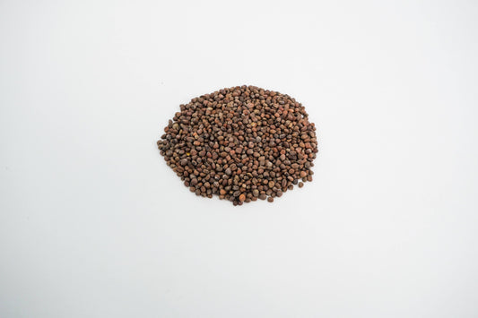 Radish Seeds