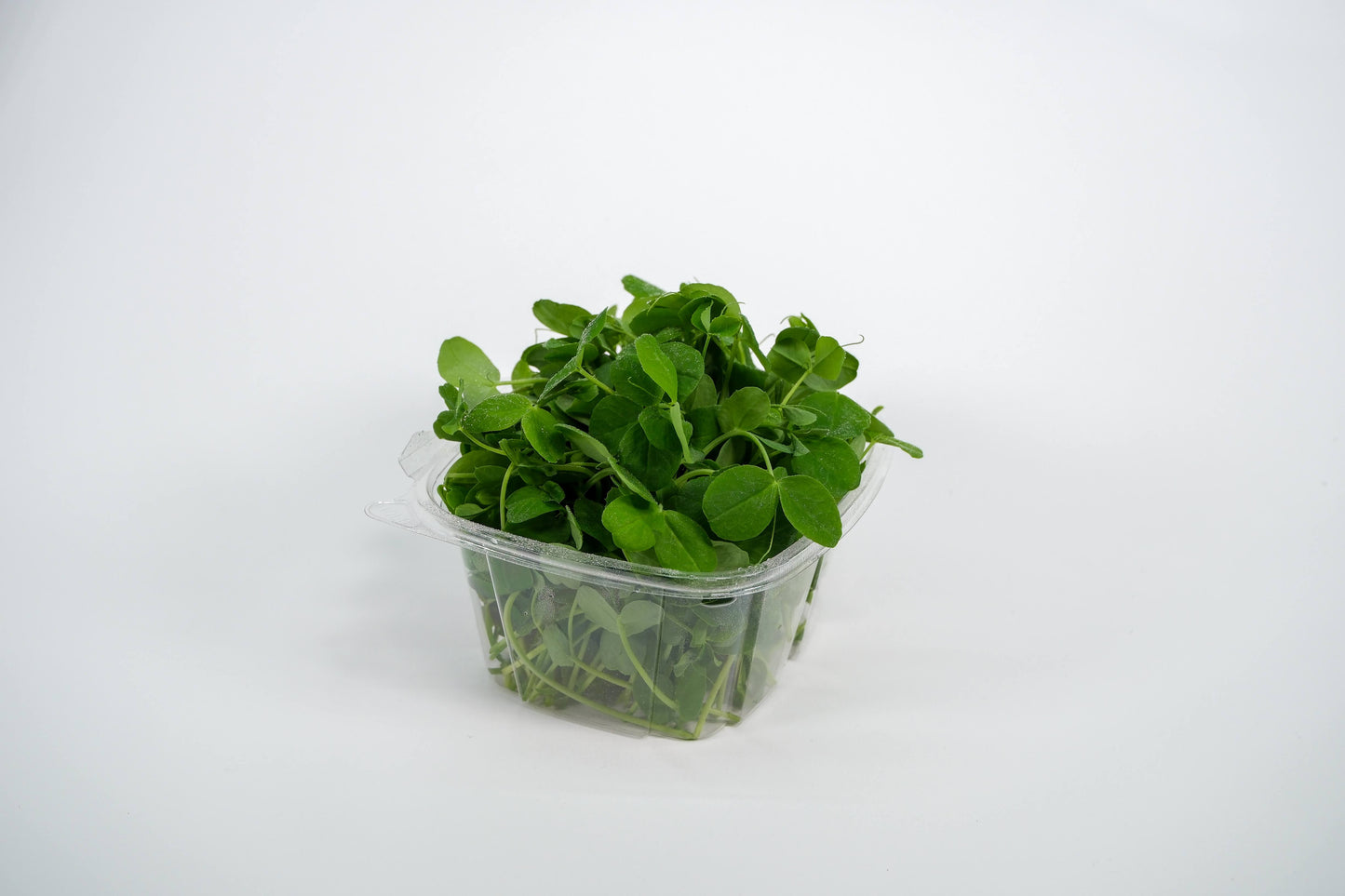 Microgreen Kit